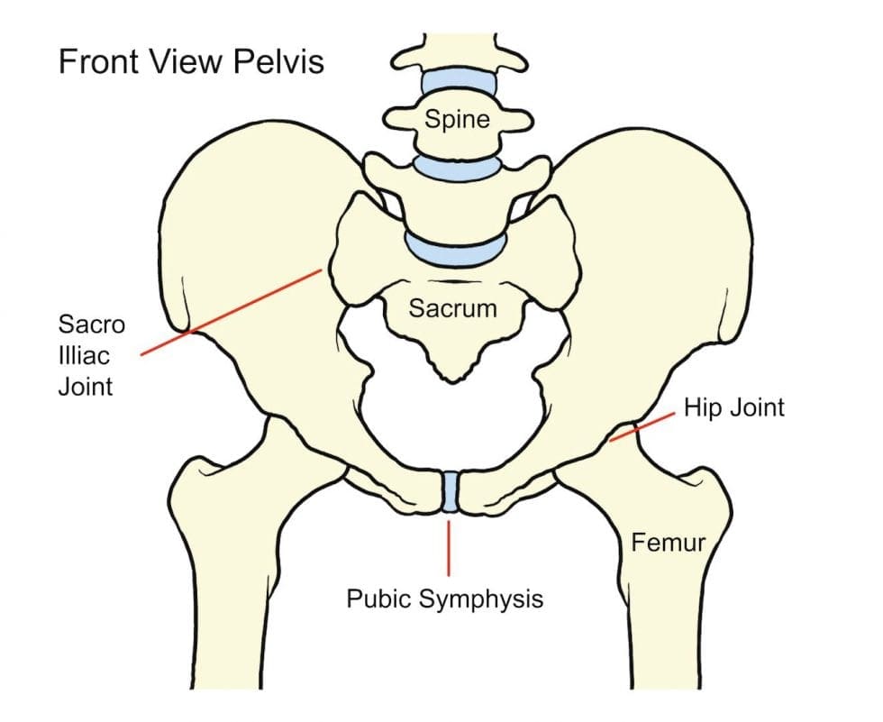  Hip problems > Glos Health & Care NHS Foundation Trust