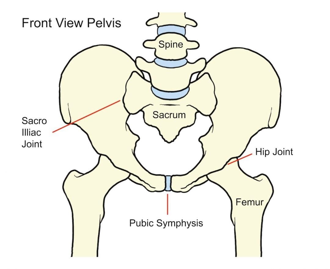 Hip Location Chart