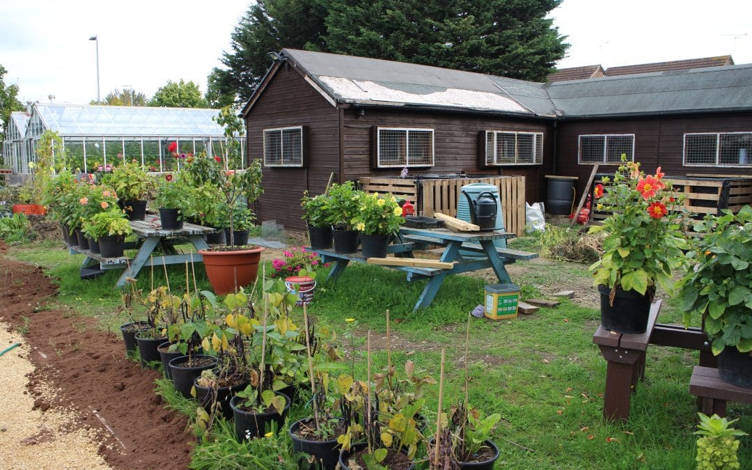 Montpellier allotment redevelopment project
