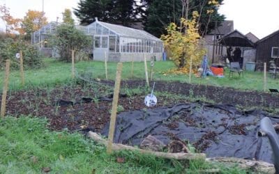 Plans for £65k allotment project outlined