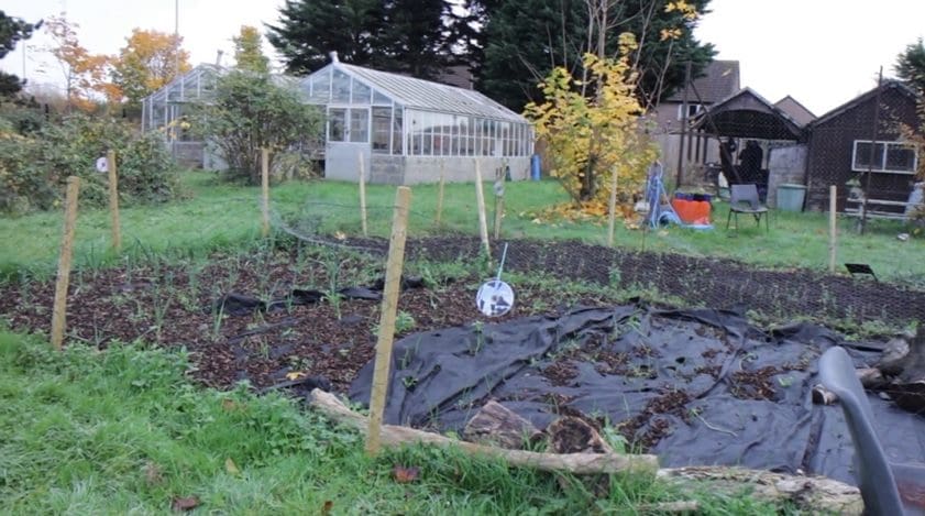 Plans for £65k allotment project outlined
