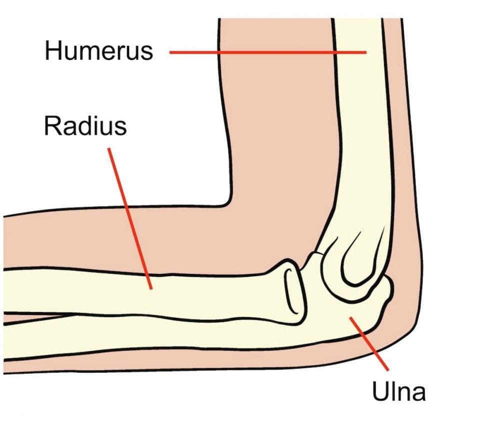 Elbow problems > Glos Health & Care NHS Foundation Trust