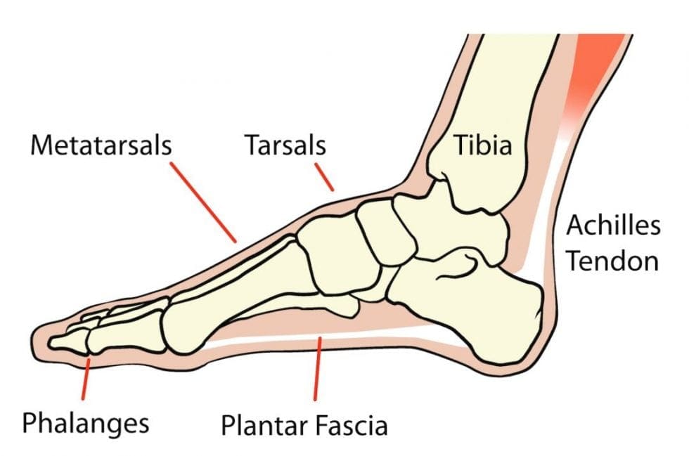 Foot problems > Glos Health & Care NHS Foundation Trust