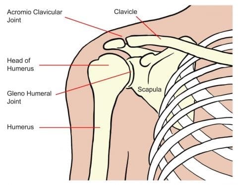  Shoulder problems > Glos Health & Care NHS Foundation Trust